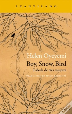 Capa do artigo Boy, Snow, Bird