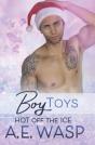 Boy Toys - Preview
