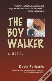 Capa do artigo Boy Walker