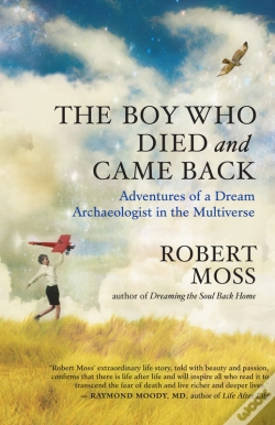 Capa do artigo Boy Who Died And Came Back