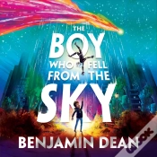 Capa do artigo Boy Who Fell From The Sky