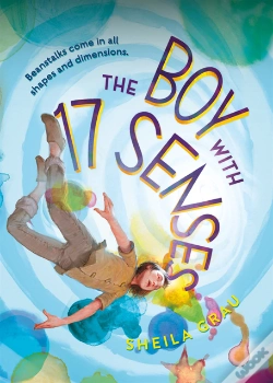 Capa do artigo Boy With 17 Senses