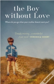 Capa do artigo Boy Without Love