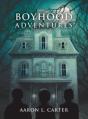 Boyhood Adventures - Preview