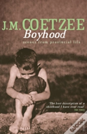 Capa do artigo Boyhood