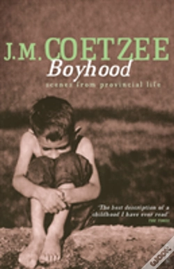 Capa do artigo Boyhood