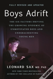 Capa do artigo Boys Adrift