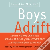 Capa do artigo Boys Adrift