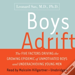 Capa do artigo Boys Adrift