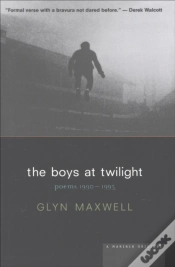 Capa do artigo Boys At Twilight