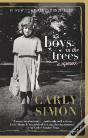 Capa do artigo Boys In The Trees