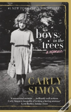 Capa do artigo Boys In The Trees