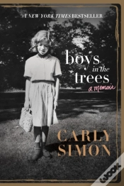 Capa do artigo Boys In The Trees