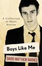 Boys Like Me - Preview