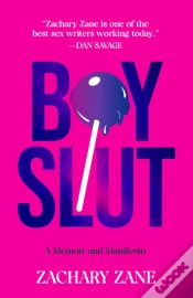 Capa do artigo Boyslut