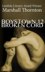 Boystown 12: Broken Cord - Preview