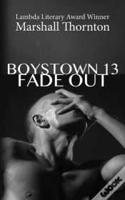 Capa do artigo Boystown 13
