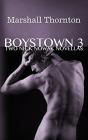Boystown 3 - Preview