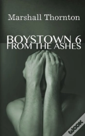 Capa do artigo Boystown 6
