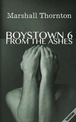 Capa do artigo Boystown 6