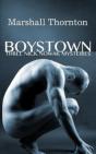 Boystown : Three Nick Nowak Mysteries - Preview