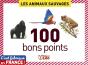 Bp 100 Les Animaux Sauvages - Preview
