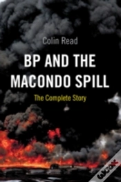 Capa do artigo Bp And The Macondo Spill