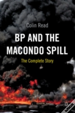 Capa do artigo Bp And The Macondo Spill