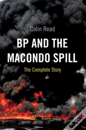 Capa do artigo Bp And The Macondo Spill