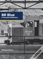 Br Blue: A Personal Reflection