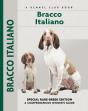 Bracco Italiano - Preview