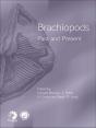 Brachiopods - Preview