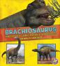 Brachiosaurus And Other Big Long-Necked Dinosaurs - Preview