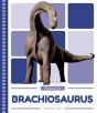 Brachiosaurus - Preview