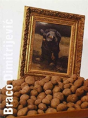 Braco Dimitrijevic - Preview