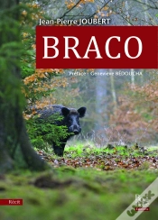 Capa do artigo Braco