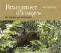 Braconnier D'Images : Des Vosges Aux Rocheuses - Preview