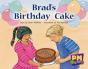 Brad'S Birthday Cake - Preview