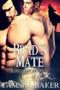 Brad'S Mate - M/M Paranormal Romance - Preview
