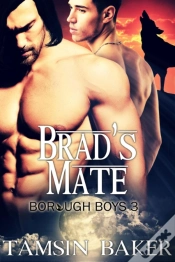 Capa do artigo Brad