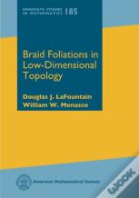 Braid Foliations In Low-Dimensional Topology