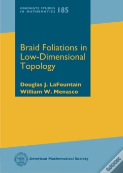 Capa do artigo Braid Foliations In Low-Dimensional Topology