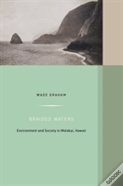 Capa do artigo Braided Waters
