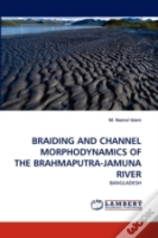 Capa do artigo Braiding And Channel Morphodynamics Of The Brahmaputra-Jamuna River