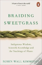 Capa do artigo Braiding Sweetgrass