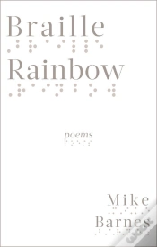 Capa do artigo Braille Rainbow