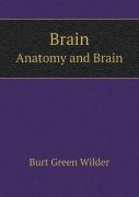 Brain Anatomy And Brain