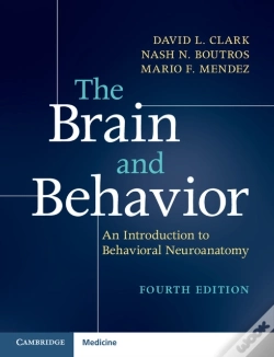 Capa do artigo Brain And Behavior