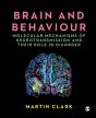 Brain And Behaviour - Preview