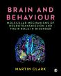 Brain And Behaviour - Preview